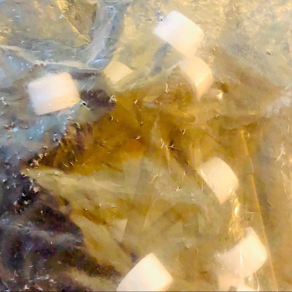 DOOR STOP GATE - HOUSE Economy rigid doorstop NWT - Picture 12 of 14